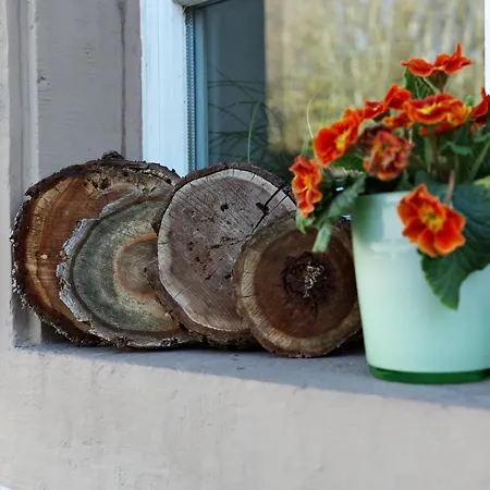 Adler Apartment Nordschwaben